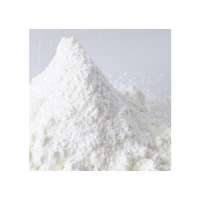 High Quality 99% Whiteness Dolomite for Sale