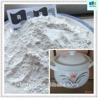 High Professional China Kaolin Clay/ Powder Kaolin